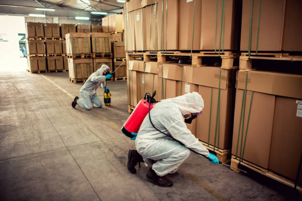 Best Cockroach Control Services  in Oakdale, PA