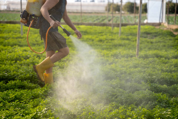 Best Best Pest Control Companies  in Oakdale, PA